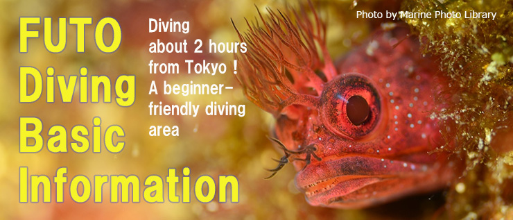 FUTO Diving Basic Information