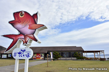 Right across the street from the dive shop is a popular seafood restaurant Daibo