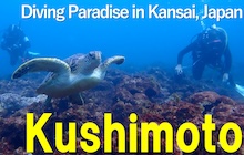 Dive in Kushimoto