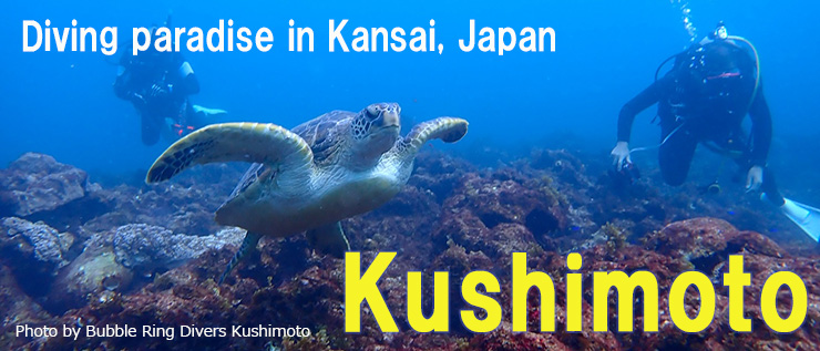 Dive in Kushimoto