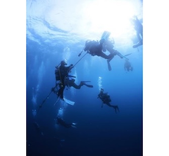 A diver making a safety stop. Photo by Nanki Seaman's Club