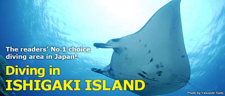 The reader’s No.1 choice diving area in Japan!　Diving in ISHIGAKI ISLAND
