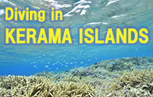 Pure white sands and blue water