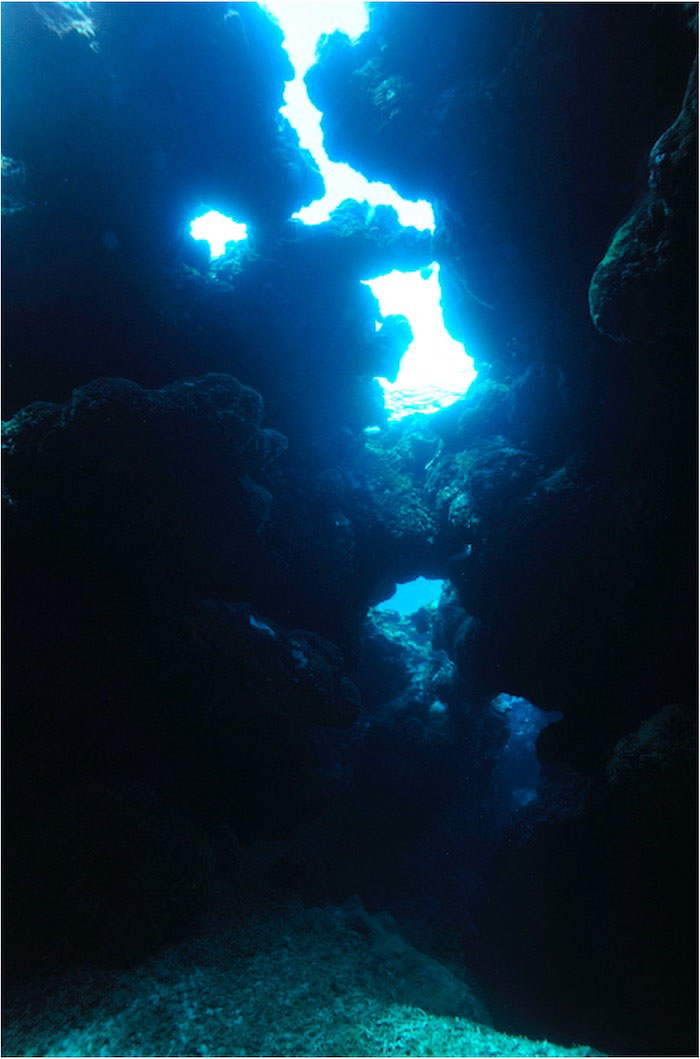 Nita Cave faces the north side of Zamami Island and is an easy dive site to visit in the summer. You can enjoy dynamic caves, grooves, holes, and arches.