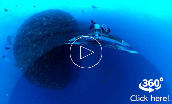 Watch the video and experience the dynamic ocean