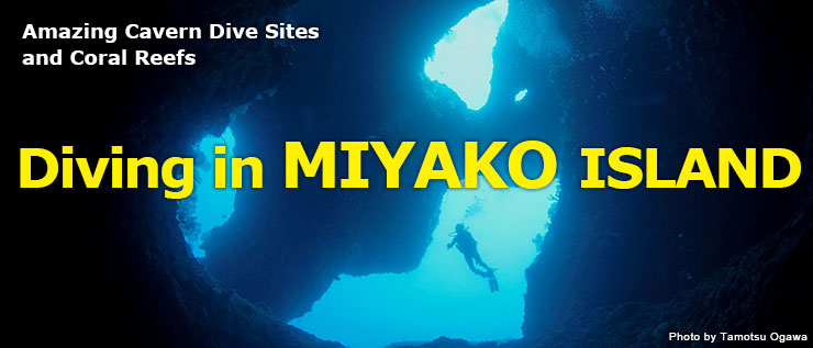 Amazing Cavern Dive Sites and Coral Reefs Diving in MIYAKO ISLAND