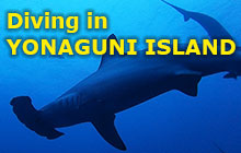 Diving in YONAGUNI ISLAND