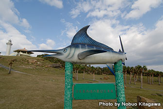 This is the sailfish monument of Yonaguni, standing in Irizaki. Sailfish fishing is famous in Yonaguni Island, and a big competition is held. “Monument of the Westernmost Point of Japan” is also nearby