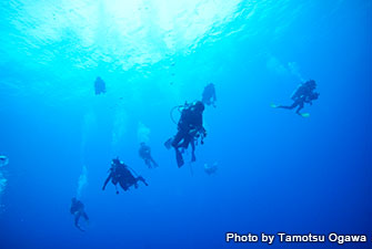 Yonaguni Island is perfect for blue water diving with the high visibility