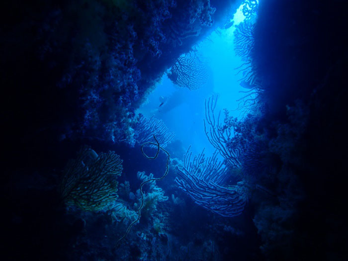 You can also enjoy the fantastic underwater scenery at the Hotoke Rock.