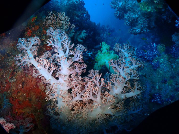 The spikes on Hotoke Rock are wild and huge! 