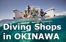Diving Shops in OKINAWA