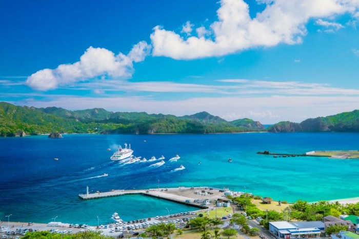 The Ogasawara Maru departing from Futami Port on Chichijima, and ships seeing off their guests.