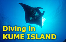 Diving in Kume Island