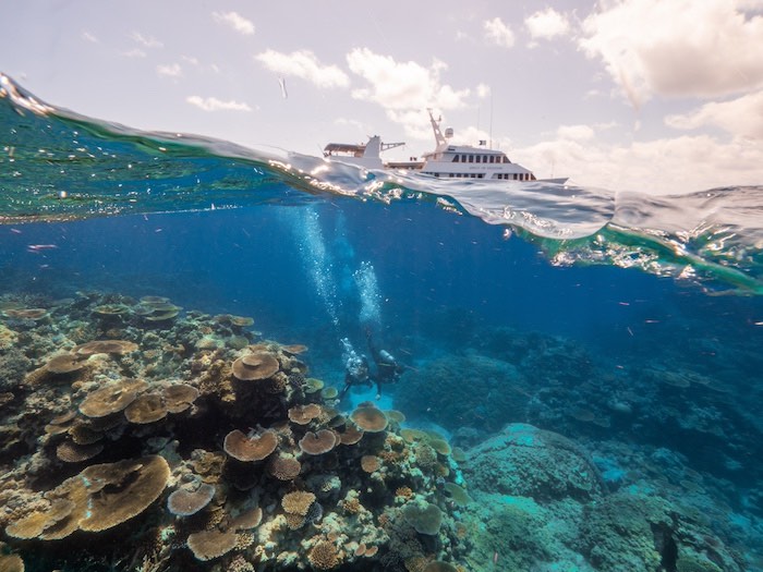 Endless Coral Reefs to Mesmerize You. Photo by Tourism Cairns