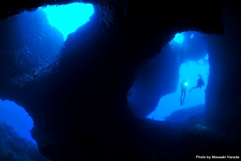 This terrain, known as “Antonio Gaudi,” derives its name from its intricate network of arches, which form a complex and beautiful pattern reminiscent of Gaudi's designs. If you go to Miyako Island, you absolutely must dive here!

